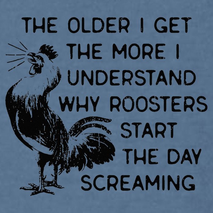 The Older I Get The More I Understand Why Roosters Start The Garment-Dyed Sweatshirt