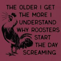 The Older I Get The More I Understand Why Roosters Start The 16oz Travel Tumbler