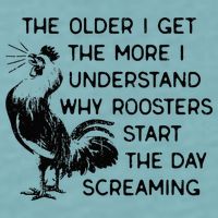 The Older I Get The More I Understand Why Roosters Start The Sueded Cloud Jersey T-Shirt