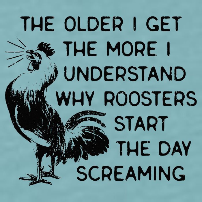 The Older I Get The More I Understand Why Roosters Start The Sueded Cloud Jersey T-Shirt