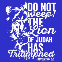 Tribe Of Judah Christian Lion Gift Revelation Bible Verse Women's V-Neck T-Shirt