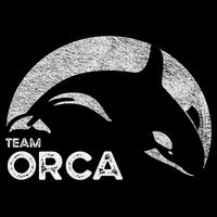 Team Orca Killer Whale Distressed Design 16 in Basic Backpack