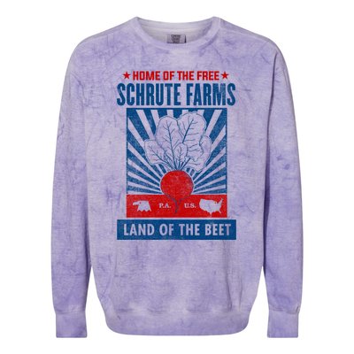 The Office Land Of The Free Home Of The Beet Gift Colorblast Crewneck Sweatshirt