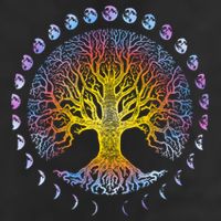 Tree Of Life Phases Of The Moon Gift Cute Gift Winter Tree Gift 11oz C Handle Ceramic Mug