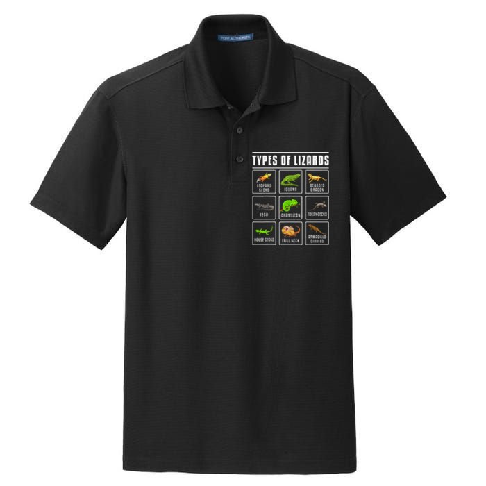 Types of Lizards Lizard Reptiles Dry Zone Grid Polo