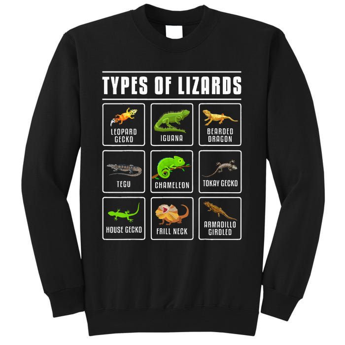 Types of Lizards Lizard Reptiles Tall Sweatshirt