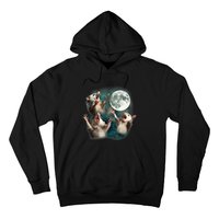 Three Opposum Moon 3 Possum Dead Moon Weird Cursed Meme Hoodie