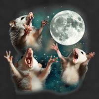 Three Opposum Moon 3 Possum Dead Moon Weird Cursed Meme 11oz C Handle Ceramic Mug