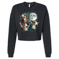 Three Opposum Moon 3 Possum Dead Moon Weird Cursed Meme Cropped Pullover Crew