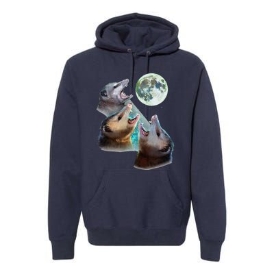 Three Opposum Moon With 3 Possums And Dead Moon Costume Premium Hoodie