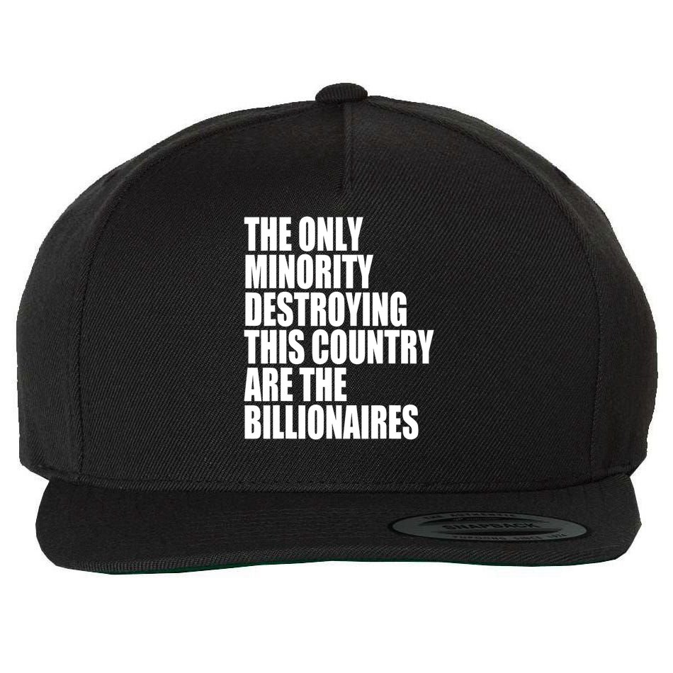 The Only Minority Destroying This Country Are Billionaires Wool Snapback Cap