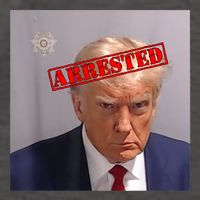 Trump Official Mugshot Arrested Funny Vector Backpack