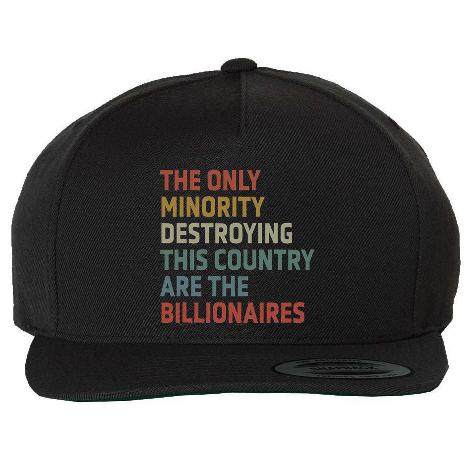 The Only Minority Destroying This Country Are Billionaires Wool Snapback Cap