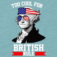 Too Cool For British Rule Sueded Cloud Jersey T-Shirt
