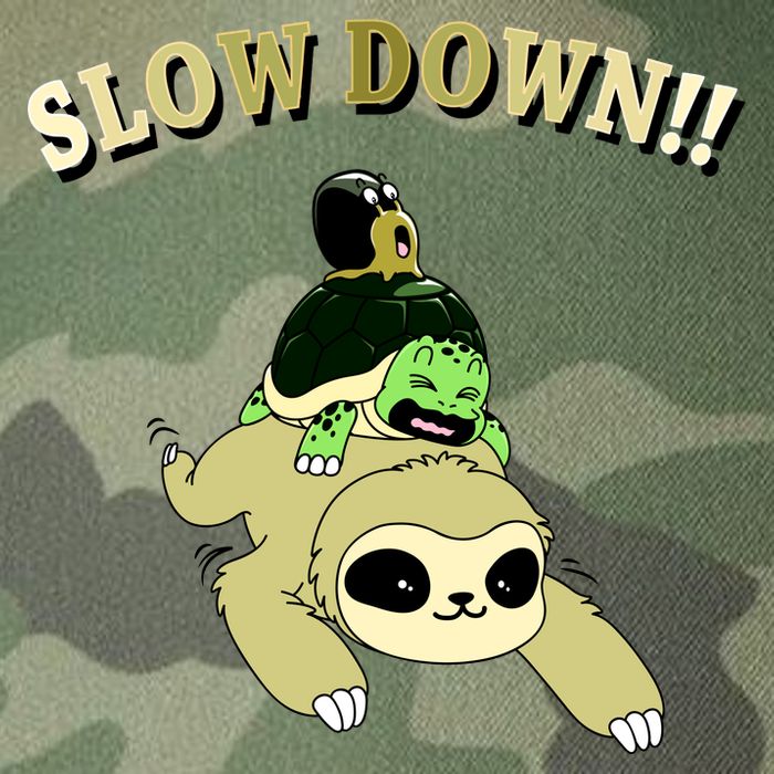 Too Fast Turtle Riding Sloth Legacy Tie Dye Trucker Hat