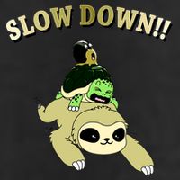Too Fast Turtle Riding Sloth Adult Drive Performance Visor