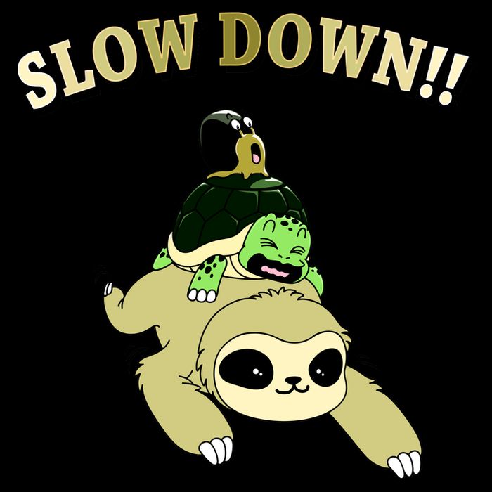 Too Fast Turtle Riding Sloth Baby Bodysuit