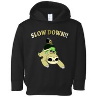 Too Fast Turtle Riding Sloth Toddler Hoodie