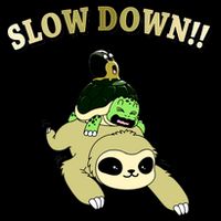 Too Fast Turtle Riding Sloth Toddler Hoodie