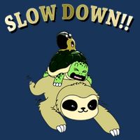 Too Fast Turtle Riding Sloth Infant Baby Jersey Bodysuit