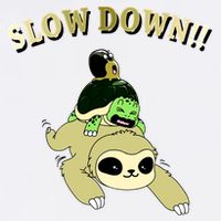 Too Fast Turtle Riding Sloth Garment-Dyed Sweatshirt