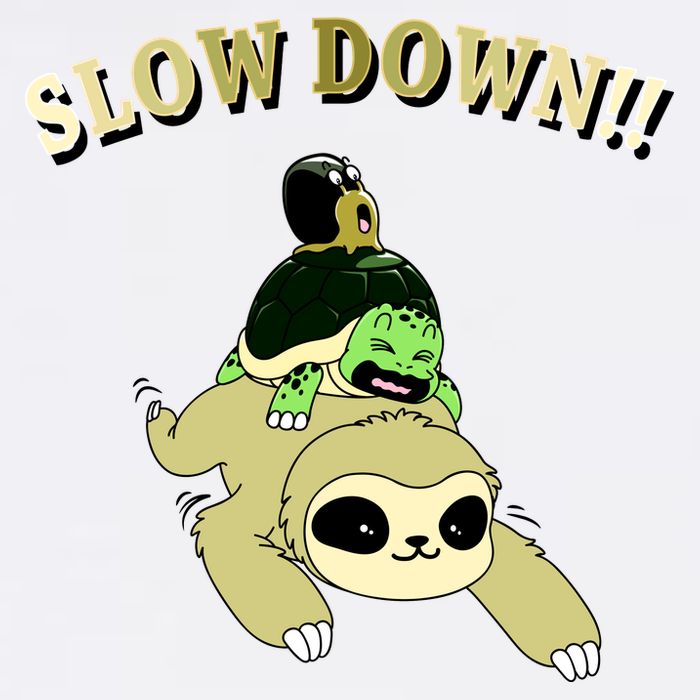 Too Fast Turtle Riding Sloth Garment-Dyed Sweatshirt