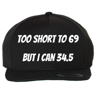 Too Short to 69 But I Can 34.5 Funny Wool Snapback Cap