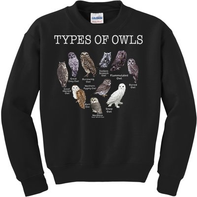 Types Of Owls Educational Cute Owl Lover Kids Sweatshirt