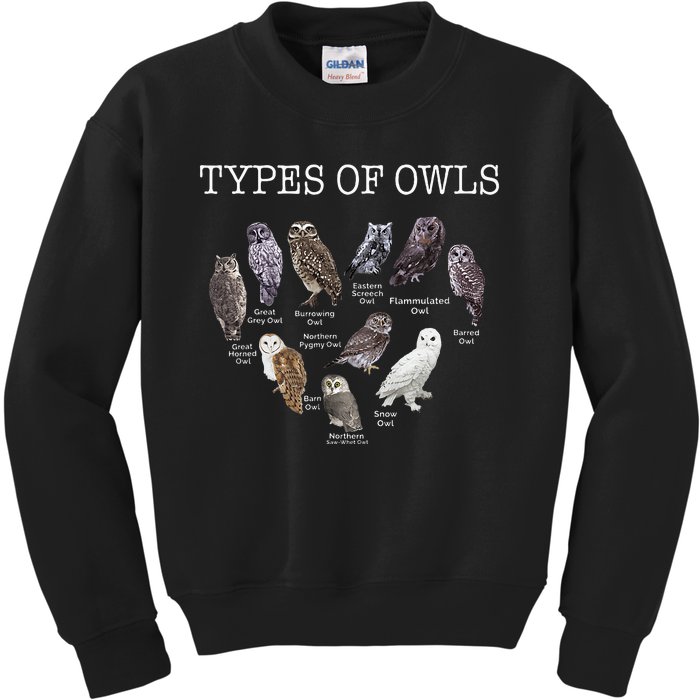 Types Of Owls Educational Cute Owl Lover Kids Sweatshirt