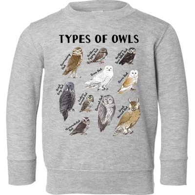 Types Of Owls Educational Collection Cute Owl Lover Toddler Sweatshirt