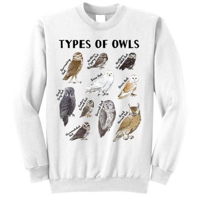 Types Of Owls Educational Collection Cute Owl Lover Sweatshirt