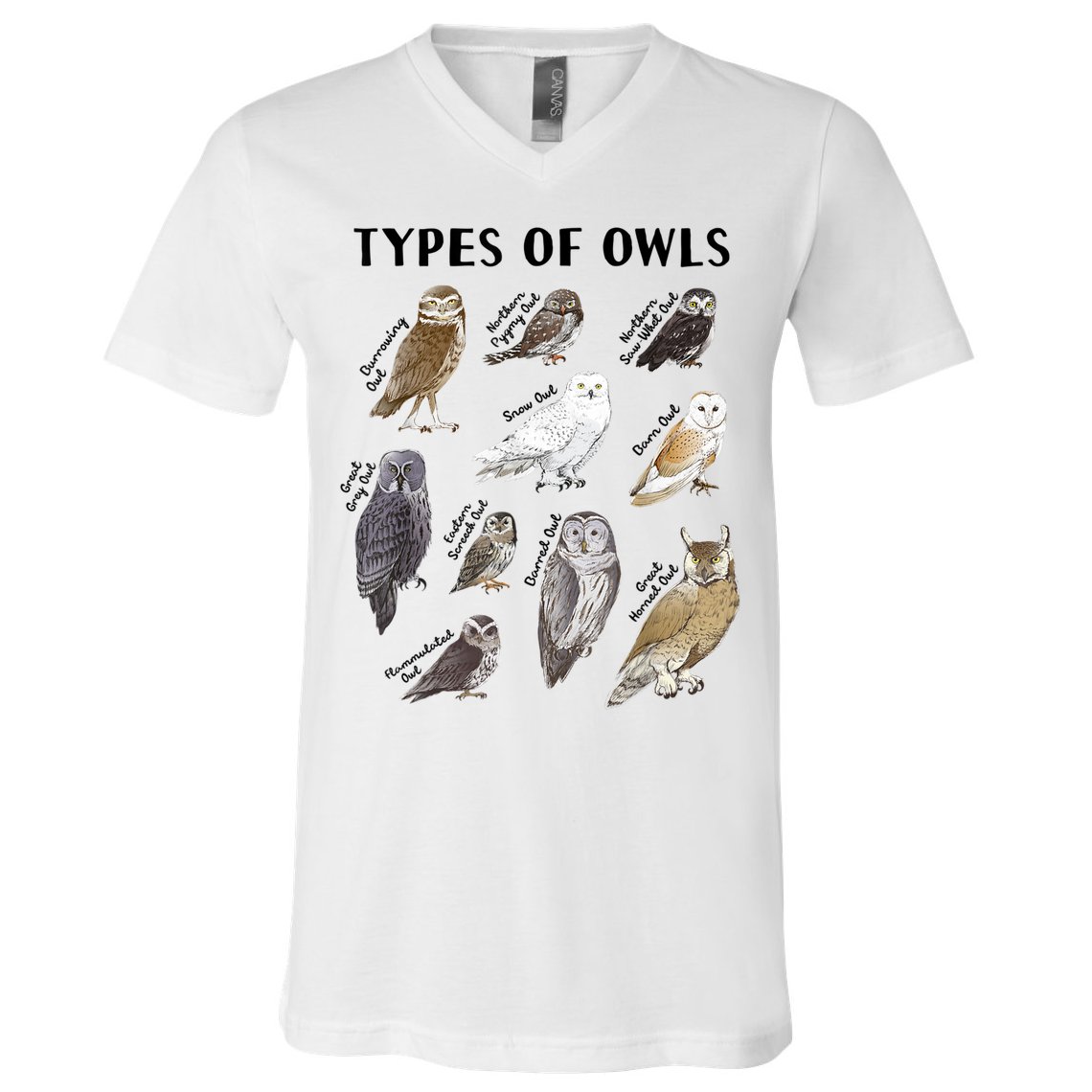 Types Of Owls Educational Collection Cute Owl Lover V-Neck T-Shirt
