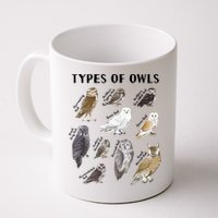 Types Of Owls Educational Collection Cute Owl Lover Mug