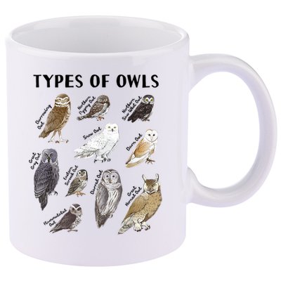 Types Of Owls Educational Collection Cute Owl Lover 11oz C Handle Ceramic Mug