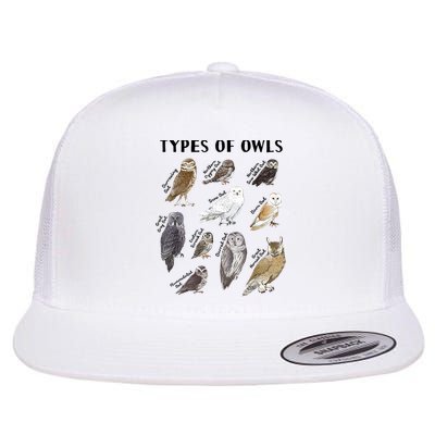 Types Of Owls Educational Collection Cute Owl Lover Flat Bill Trucker Hat