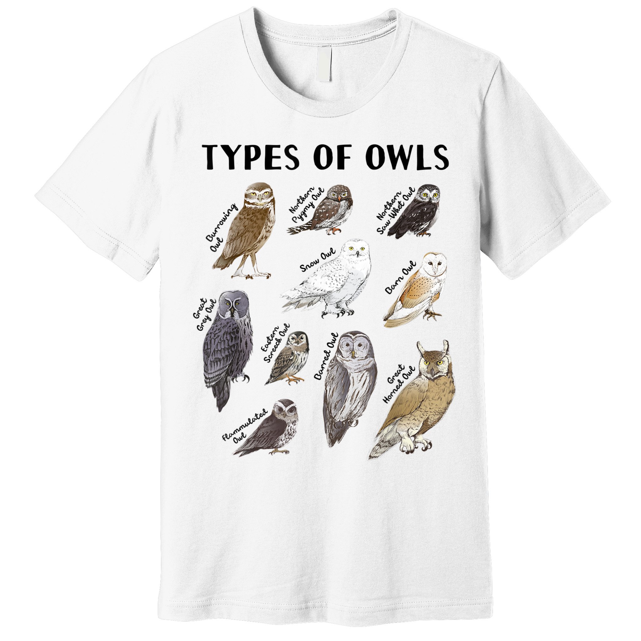 Types Of Owls Educational Collection Cute Owl Lover Premium T-Shirt