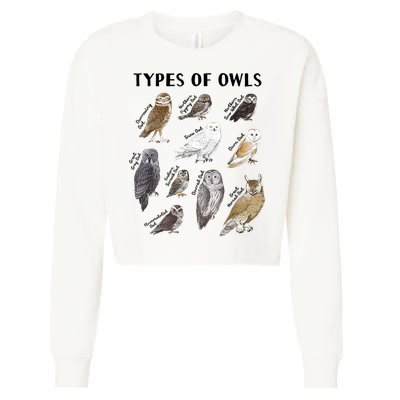 Types Of Owls Educational Collection Cute Owl Lover Cropped Pullover Crew