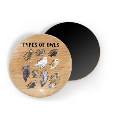 Types Of Owls Educational Collection Cute Owl Lover Magnet