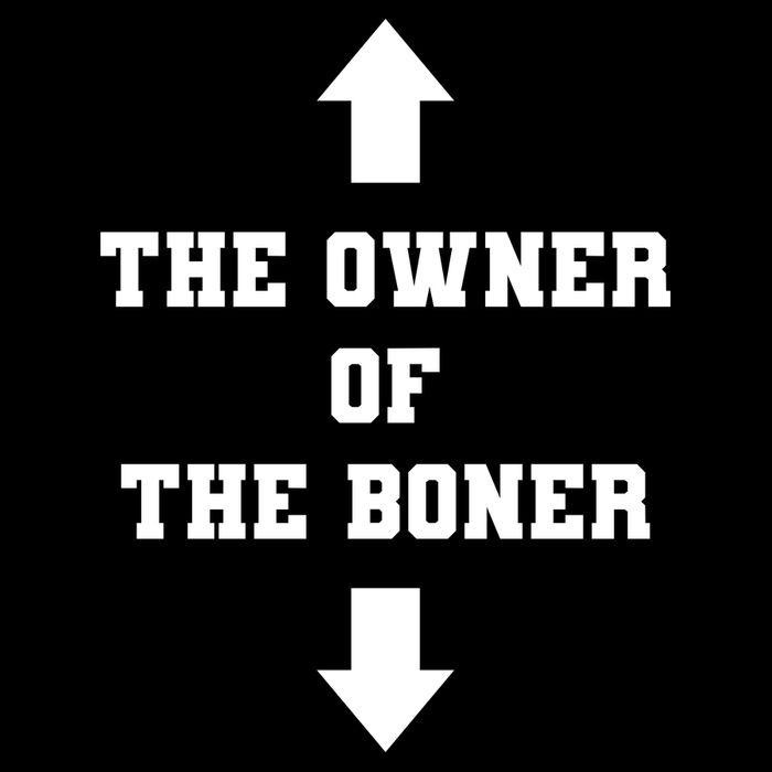 The Owner Of The Boner Funny Humor Cooling Performance Crew T-Shirt