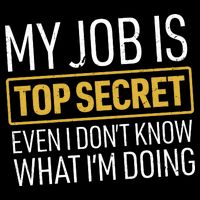 Top Secret Job Wool Snapback Cap