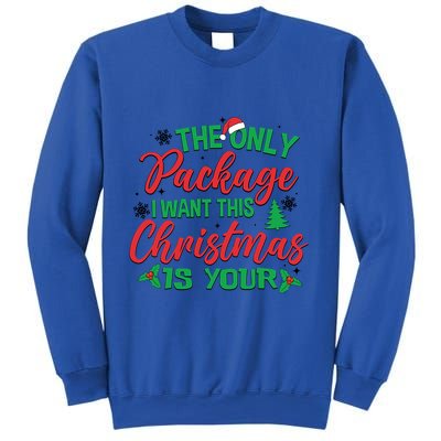 The Only Package I Want This Christmas Is Yours Funny Great Gift Sweatshirt