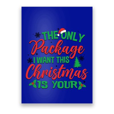 The Only Package I Want This Christmas Is Yours Funny Great Gift Poster