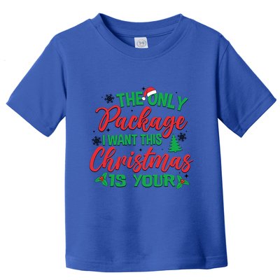 The Only Package I Want This Christmas Is Yours Funny Great Gift Toddler T-Shirt