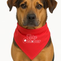Take October Philadelphia USA-Made Doggie Bandana