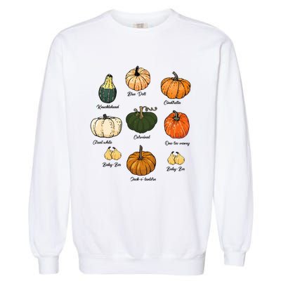 Type Of Pumpkins Fall Halloween Pumpkin Patch Garment-Dyed Sweatshirt