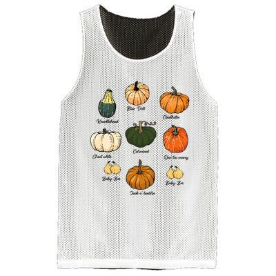 Type Of Pumpkins Fall Halloween Pumpkin Patch Mesh Reversible Basketball Jersey Tank