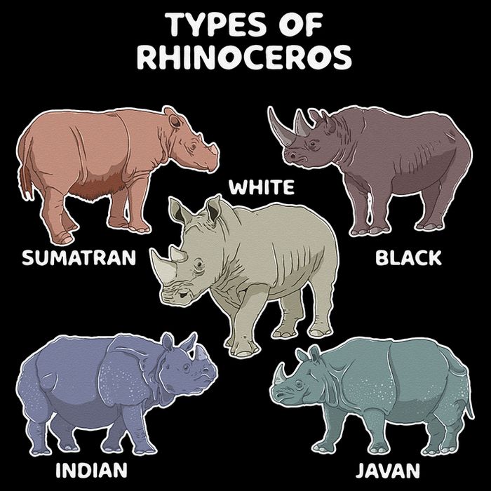 Types of Rhinoceros Sumatran Javan Rhino Animal Art Backpack