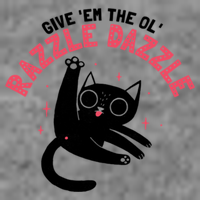 The Ol' Razzle Dazzle Cat Toddler Hoodie