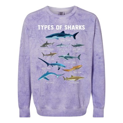 Types Of Sharks Shark Colorblast Crewneck Sweatshirt