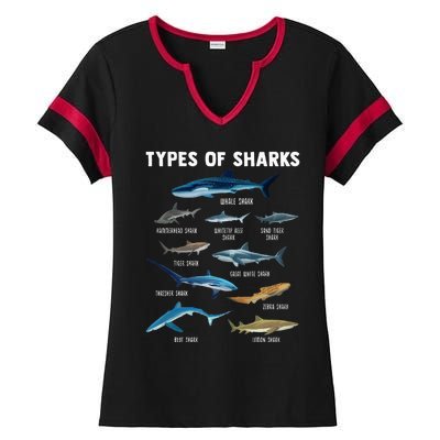 Types Of Sharks Shark Ladies Halftime Notch Neck Tee